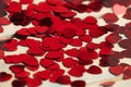 Red heart confetti. Valentins da concept