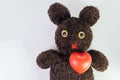 Red heart on cute brown handmade fluffy doll with pitty eyes, healthcare for children or kids, medical learning class