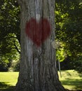 Red heart design on a big tree ready to be engraved with lovers initials