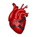 Red heart with fashion harness in hand drawn style.