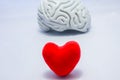 Red heart in foreground of photo and anatomical shape of brain in background. Concept or idea photo selection priority authority i