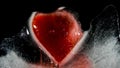 Red heart, frozen in ice, melting, bleeding. 02 Royalty Free Stock Photo