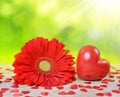 Red heart with gerbera flower on table. Royalty Free Stock Photo