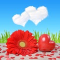 Red heart with gerbera flower on table. Royalty Free Stock Photo