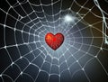 Red heart got caught in spider web on blurred dark background, captivity feeling of love concept