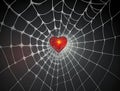 Red heart got caught in spider web on blurred dark background, captivity feeling of love concept