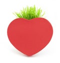 Red heart with grass stalk Royalty Free Stock Photo