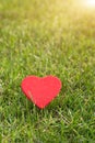 Red heart on the green grass backgrounds with copy space