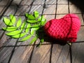 Red heart and green leaves under grid pattern shadow Royalty Free Stock Photo