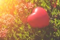 Red Heart on Green spike flower tree for love and Valentine`s Day Royalty Free Stock Photo