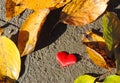 red heart on the ground among fallen leaves, love and romantic relationship concept           . Royalty Free Stock Photo