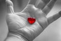 Red heart in hand on black and white background