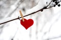 Red heart hanging on snowy branch. The concept of celebrating Valentine`s Day. Banner. Close-up. Copy space. Selective focus Royalty Free Stock Photo