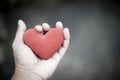 Red heart in human hand Royalty Free Stock Photo