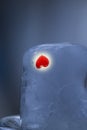 Red heart in ice cubes on blue background Royalty Free Stock Photo