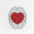 Red heart inside glass brain on white background.