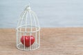 Red heart inside the miniature birdcage, love/ romance or anchor