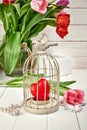 Red heart in iron cage with spring