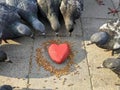 A red heart lies on the road in the grain, and there are pigeons around and look at the grain with interest