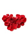 Red heart made from red rose petals, isolated on white background Royalty Free Stock Photo