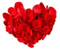 Red heart made from rose petals isolated on white background Royalty Free Stock Photo