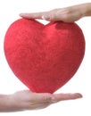 Red heart in male and female hands Royalty Free Stock Photo