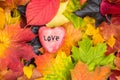 Red heart on Maple Leaves Mixed Fall Colors Background Royalty Free Stock Photo