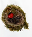 Red heart in nest Royalty Free Stock Photo
