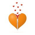 The red heart opens with a zipper. Royalty Free Stock Photo