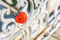 Red heart padlock locked on fence. Lock in shape of heart as symbol of eternal love Royalty Free Stock Photo