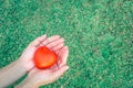 Red heart in the palm of the hand, in the background of a bright green grass garden Royalty Free Stock Photo