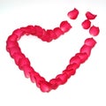 The symbol of love is laid out of roses in the shape of a heart Royalty Free Stock Photo