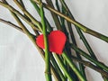 The red heart is among the rose stalks. Abusive or codependent relationships. Royalty Free Stock Photo
