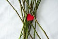 The red heart is among the rose stalks. Abusive or codependent relationships. Royalty Free Stock Photo
