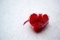 Red heart with roses inside in the snow Royalty Free Stock Photo