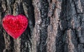Red heart on rough tree bark Royalty Free Stock Photo