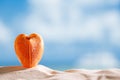 Red heart sea shell with ocean , beach and seascape Royalty Free Stock Photo