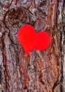 Red Heart Shape closeup Royalty Free Stock Photo