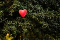 Red Heart-Shaped Balloon Floating Amidst Green Foliage Royalty Free Stock Photo