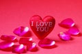 A red heart shaped with I Love You and Rose petals on red background Royalty Free Stock Photo