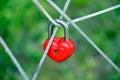 Red heart-shaped padlock hanging on the ropes on green background Royalty Free Stock Photo
