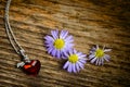 Red heart-shaped pendant Royalty Free Stock Photo