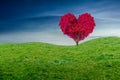 Red heart shaped tree on a green field Royalty Free Stock Photo