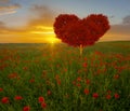 Red heart shaped tree-symbol of love and Valentine`s Day Royalty Free Stock Photo