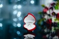 Red box with engagement ring. Royalty Free Stock Photo