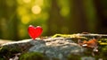 a red heart sitting on top of a moss covered rock in the forest with sunlight shining through the trees behind it and a green Royalty Free Stock Photo