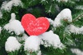 Red heart in snow on christmas tree. Happy New Year love concept Royalty Free Stock Photo