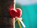 Red heart with stick and ribbon leaning on a coconut tree