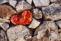 Red heart of stone among old stones, texture, background Royalty Free Stock Photo