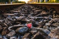 A red heart on a stone pile in a train track Royalty Free Stock Photo